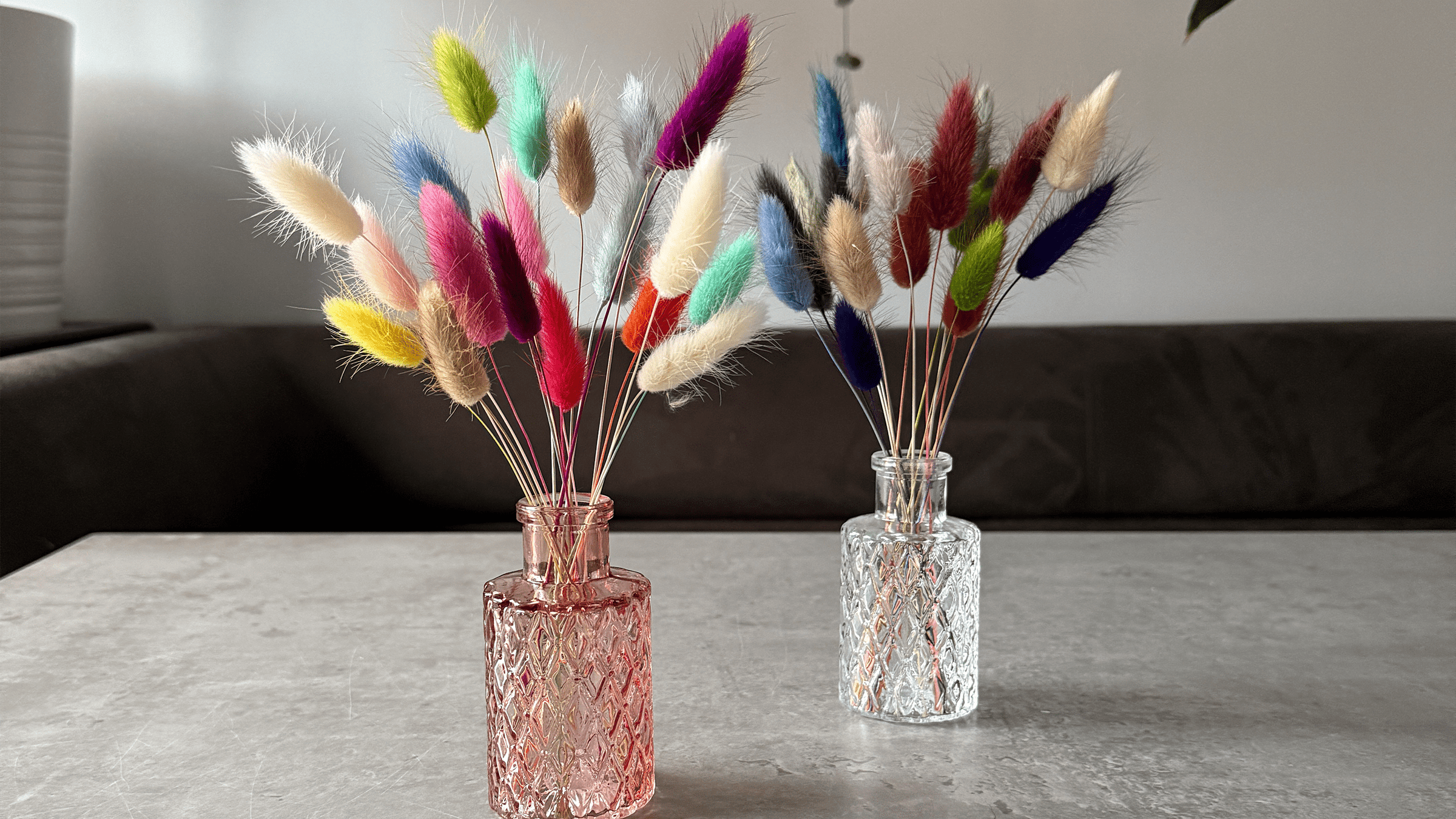 Dried Flower Stems - Pampas Tallo