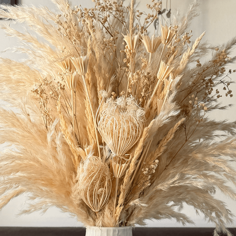 Adelaide Dried Flower Arrangement In Cream & White - Pampas Tallo