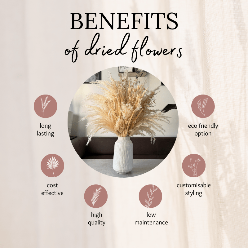 Adelaide Dried Flower Arrangement In Cream & White - Pampas Tallo