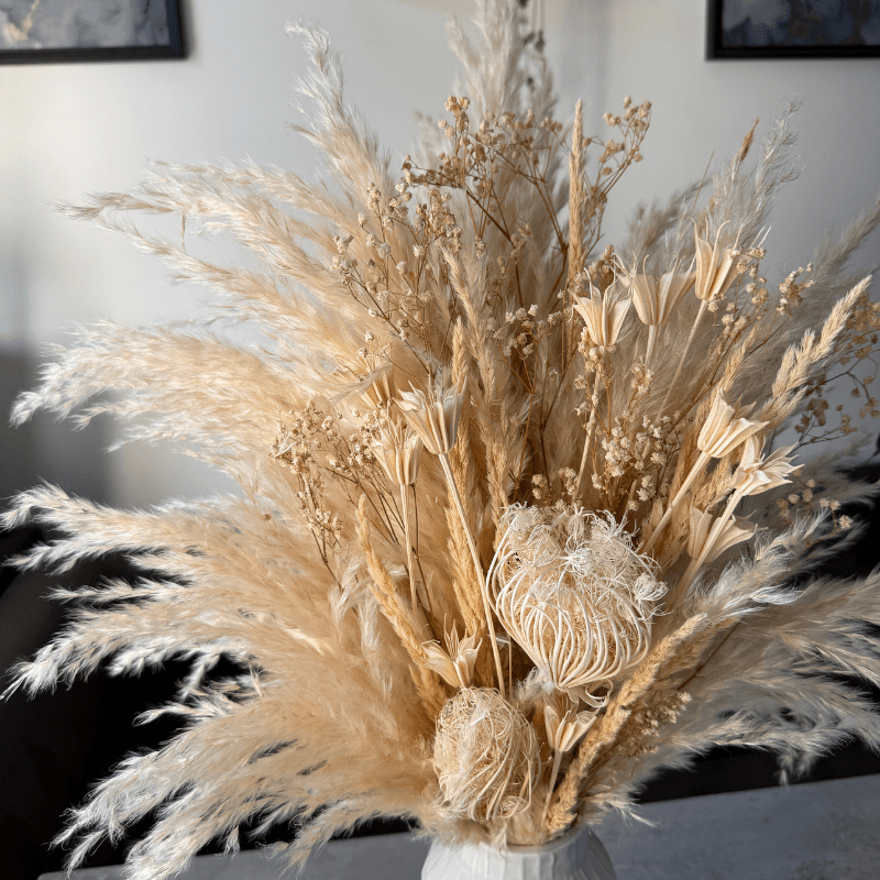 Adelaide Dried Flower Arrangement In Cream & White - Pampas Tallo