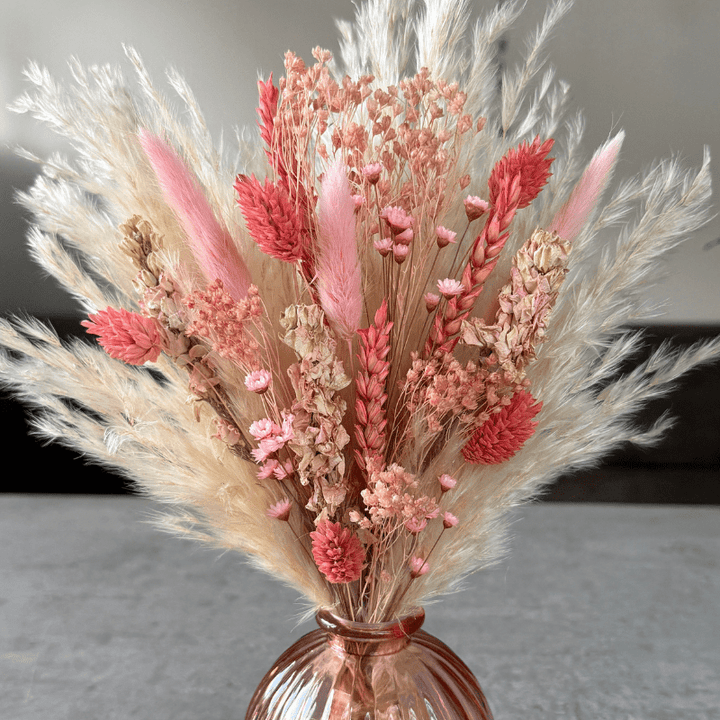 Alena Dried Flower Arrangement In Coral, Pink & Cream - Pampas Tallo