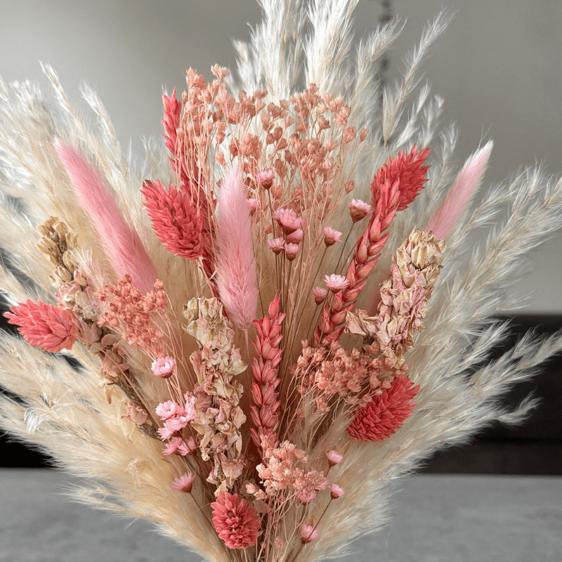 Alena Dried Flower Arrangement In Coral, Pink & Cream - Pampas Tallo