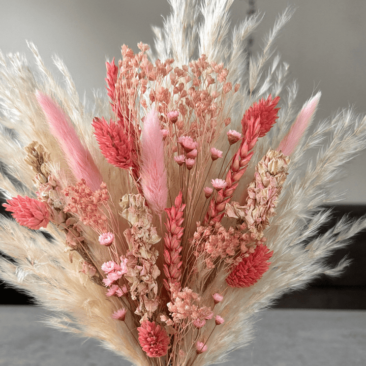 Alena Dried Flower Arrangement In Coral, Pink & Cream - Pampas Tallo