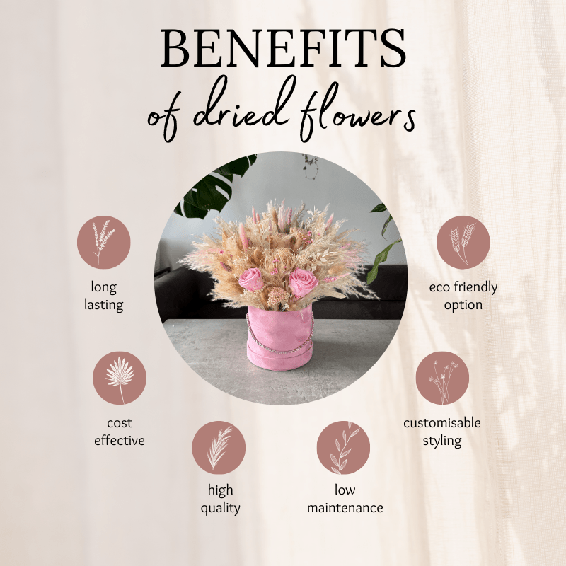 Anne Dried Flower Hat Box In Pink & Cream - Pampas Tallo