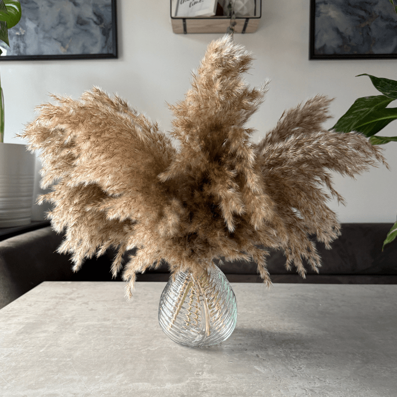 Arabella Dried Flower Arrangement In Fluffy Natural Pampas Reed - Pampas Tallo