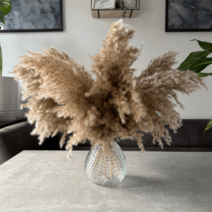 Arabella Dried Flower Arrangement In Fluffy Natural Pampas Reed - Pampas Tallo