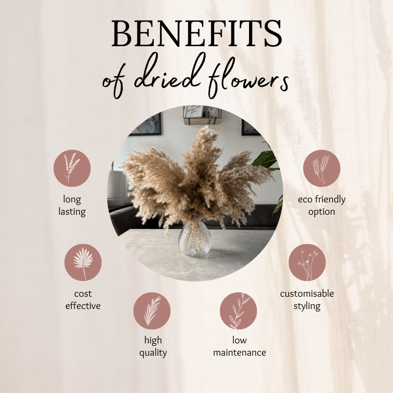 Arabella Dried Flower Arrangement In Fluffy Natural Pampas Reed - Pampas Tallo