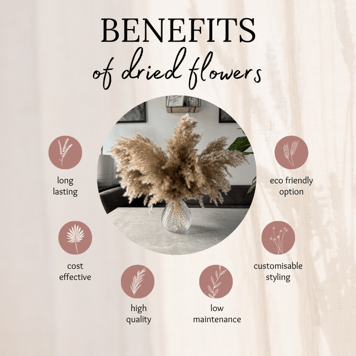 Arabella Dried Flower Arrangement In Fluffy Natural Pampas Reed - Pampas Tallo