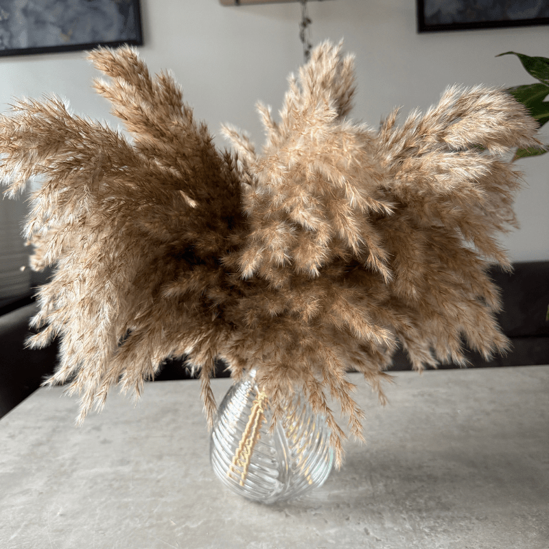 Arabella Dried Flower Arrangement In Fluffy Natural Pampas Reed - Pampas Tallo