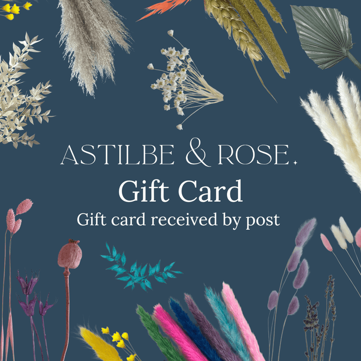 Astilbe & Rose Physical Gift Voucher - Pampas Tallo