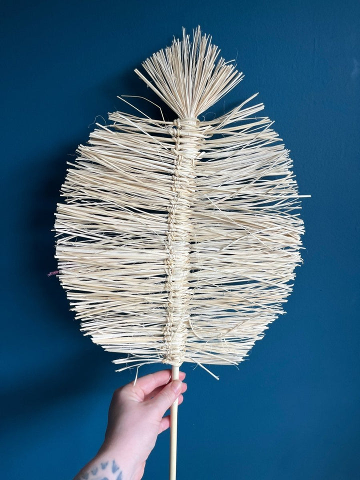 Boho Palms - Pampas Tallo