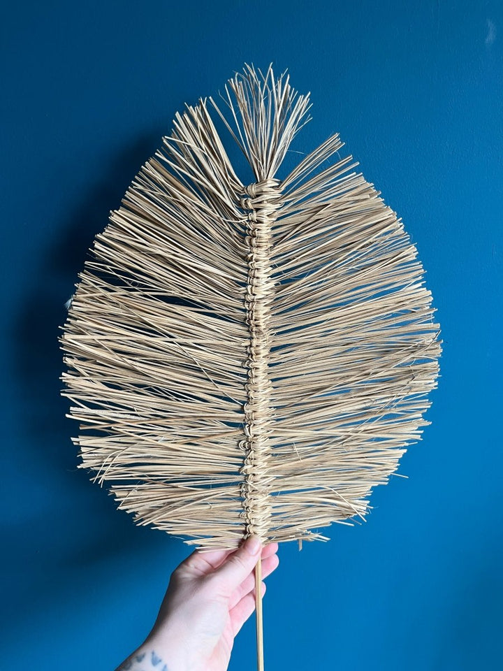 Boho Palms - Pampas Tallo