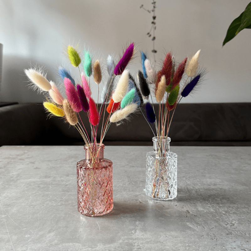 Bunny Tail Dried Flowers 20 Stems - Pampas Tallo