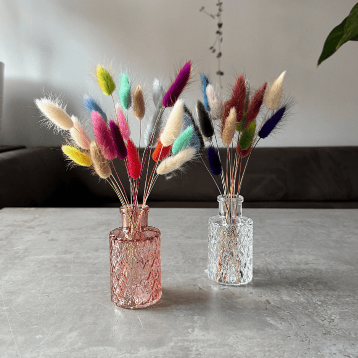 Bunny Tail Dried Flowers 20 Stems - Pampas Tallo