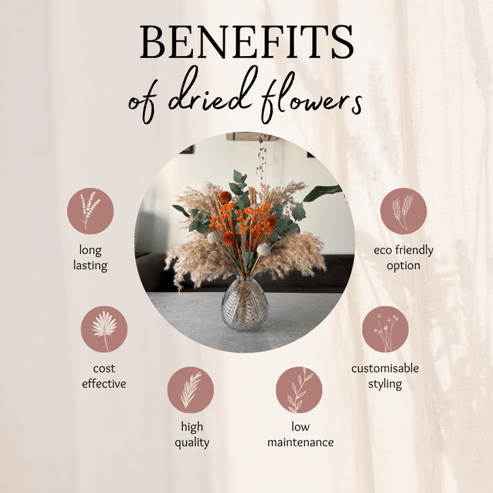 Charlotte Dried Flower Arrangement In Natural, Orange & Eucalyptus - Pampas Tallo