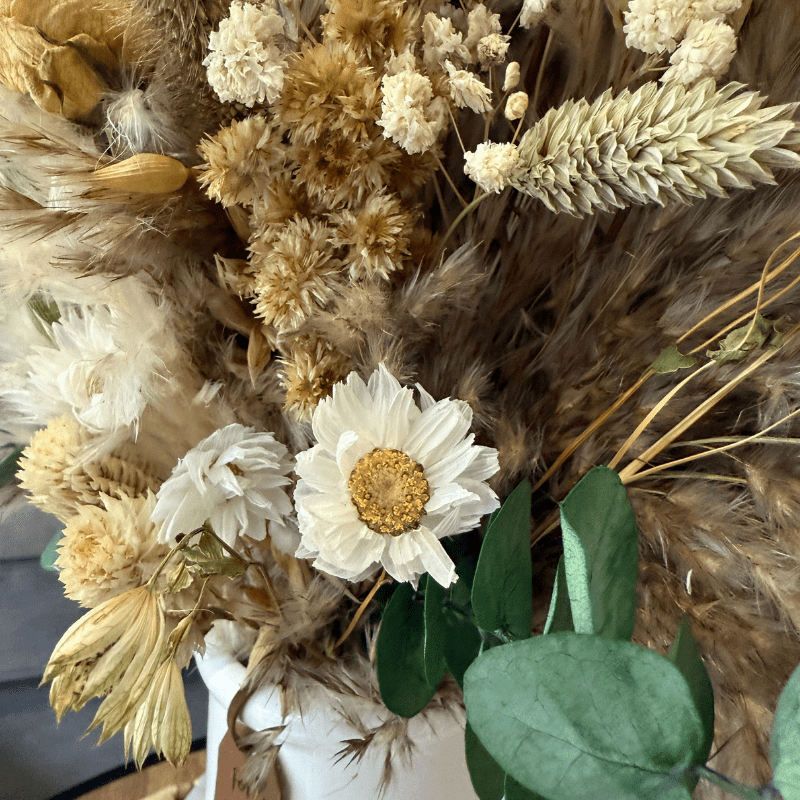 Chloe Dried Flower Arrangement In White, Cream, Green & Natural - Pampas Tallo