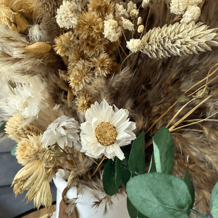 Chloe Dried Flower Arrangement In White, Cream, Green & Natural - Pampas Tallo