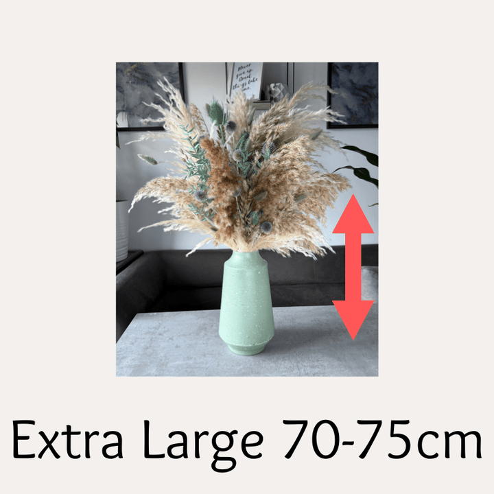 Custom Dried Flowers Created For You - Large To Extra Large - Pampas Tallo