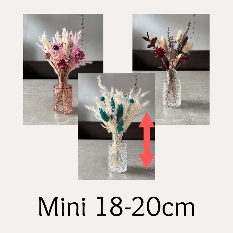 Custom Dried Flowers Created For You - Mini To Medium - Pampas Tallo