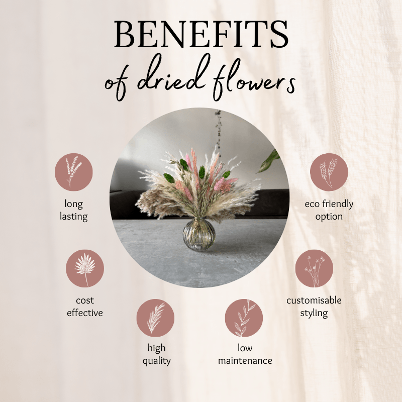 Dakota Dried Flower Arrangement In Green, Pink, Natural & Cream - Pampas Tallo