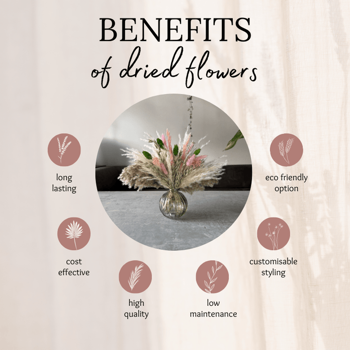 Dakota Dried Flower Arrangement In Green, Pink, Natural & Cream - Pampas Tallo