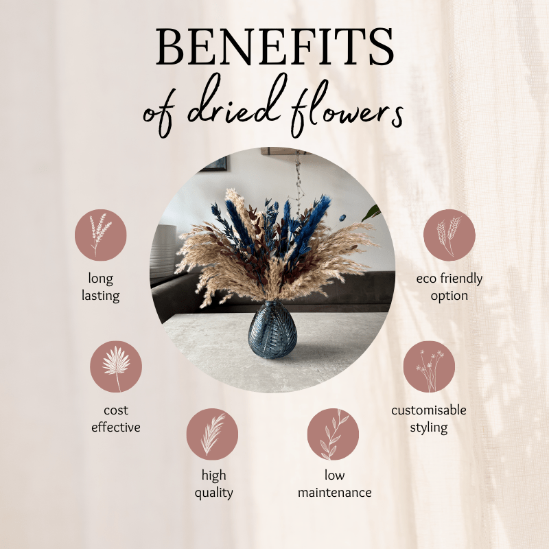 Darcy Dried Flower Arrangement In Natural, Navy & Burgundy - Pampas Tallo