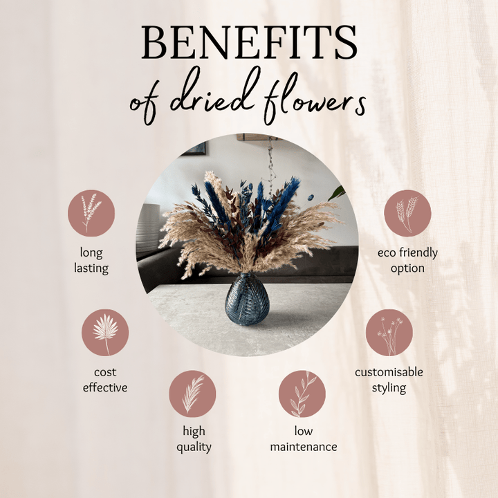 Darcy Dried Flower Arrangement In Natural, Navy & Burgundy - Pampas Tallo