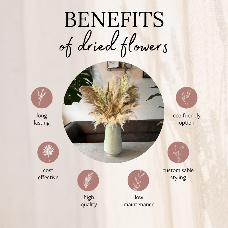 Della Dried Flower Arrangement In Natural, Cream & Green - Pampas Tallo