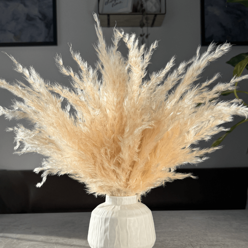 Eadie Dried Flower Arrangement In Fluffy Cream Pampas Grass - Pampas Tallo