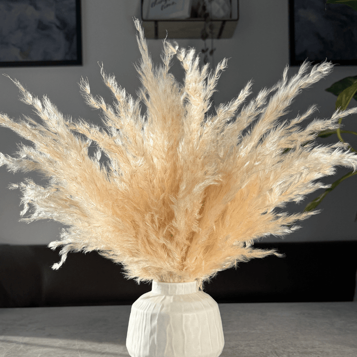 Eadie Dried Flower Arrangement In Fluffy Cream Pampas Grass - Pampas Tallo