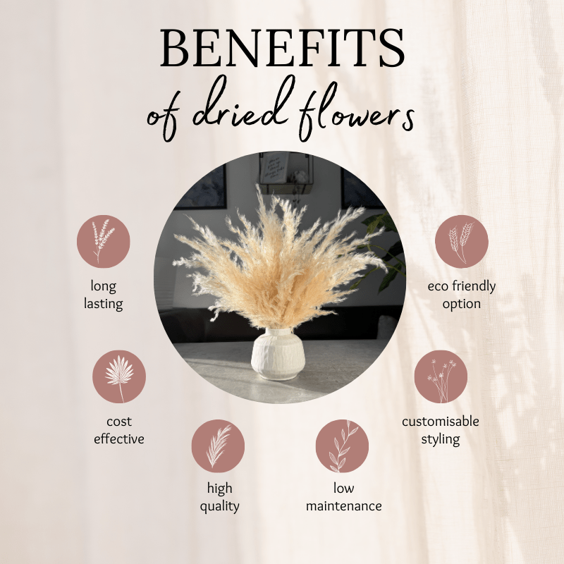 Eadie Dried Flower Arrangement In Fluffy Cream Pampas Grass - Pampas Tallo