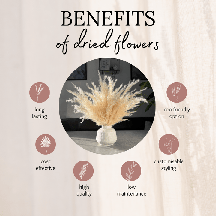 Eadie Dried Flower Arrangement In Fluffy Cream Pampas Grass - Pampas Tallo