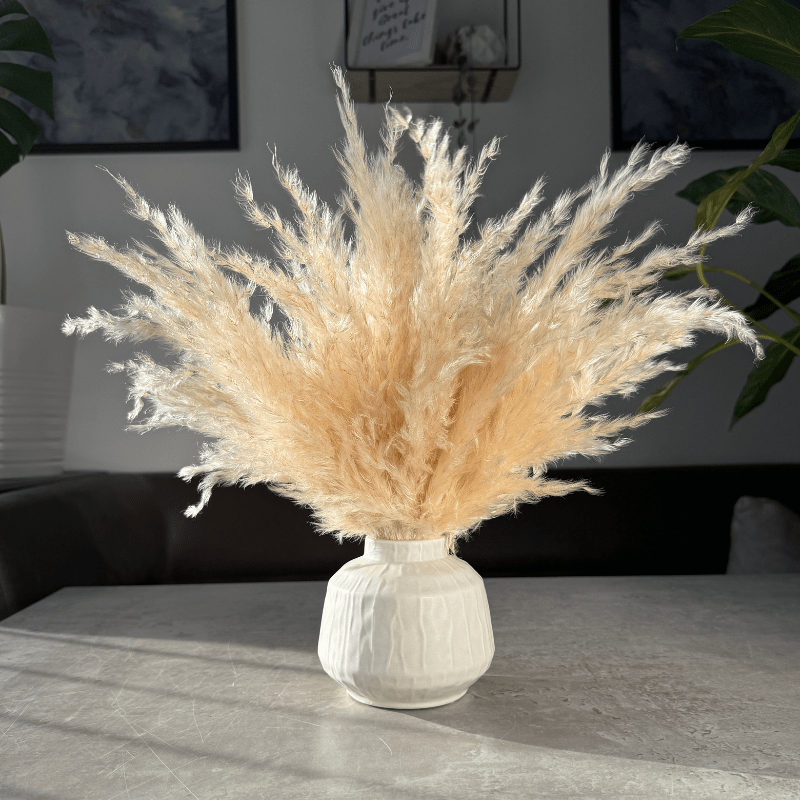 Eadie Dried Flower Arrangement In Fluffy Cream Pampas Grass - Pampas Tallo