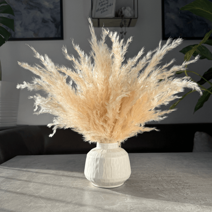 Eadie Dried Flower Arrangement In Fluffy Cream Pampas Grass - Pampas Tallo