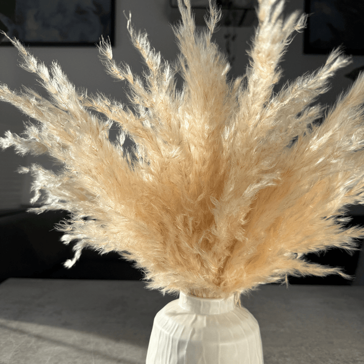 Eadie Dried Flower Arrangement In Fluffy Cream Pampas Grass - Pampas Tallo