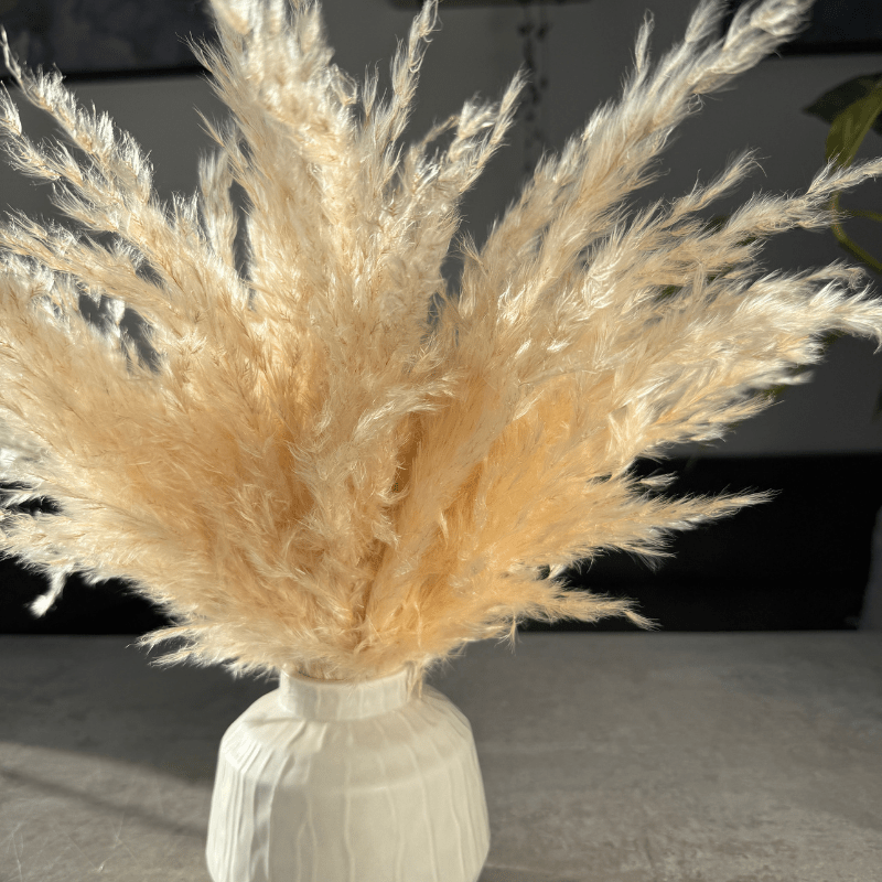 Eadie Dried Flower Arrangement In Fluffy Cream Pampas Grass - Pampas Tallo