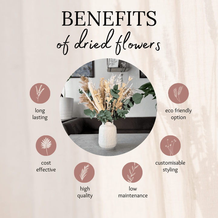 Elina Dried Flower Arrangement In Natural, White & Eucalyptus - Pampas Tallo