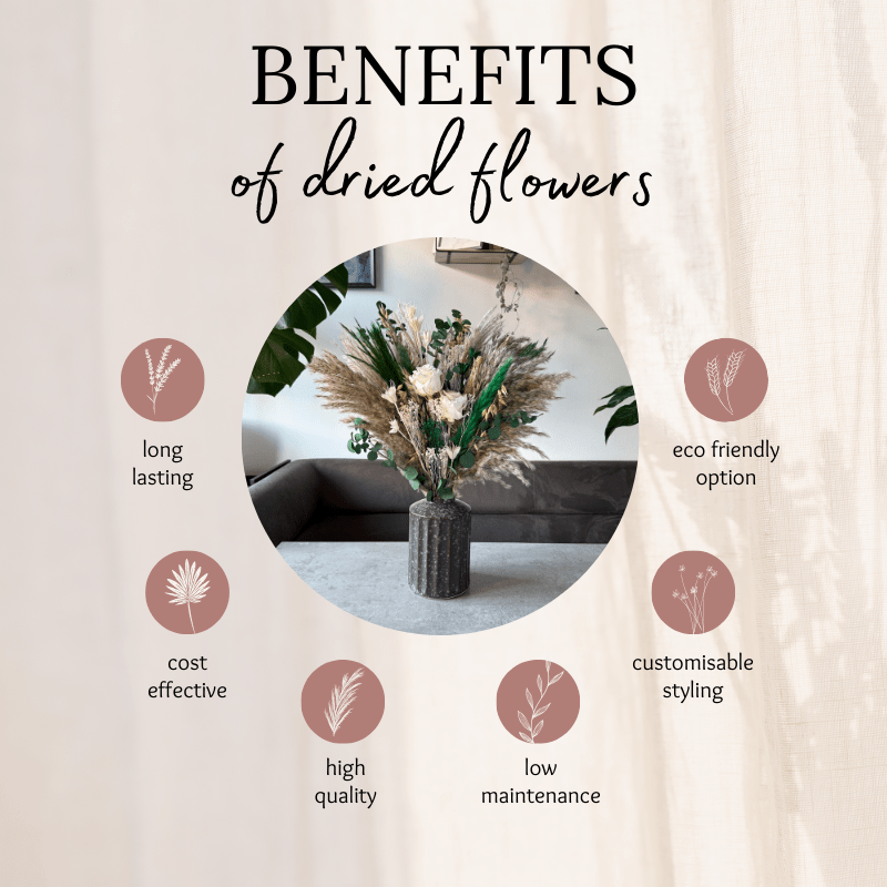 Eliza Dried Flower Arrangement In Natural, Green & Cream - Pampas Tallo