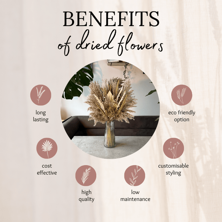 Ember Dried Flower Arrangement In Natural, Green & White - Pampas Tallo