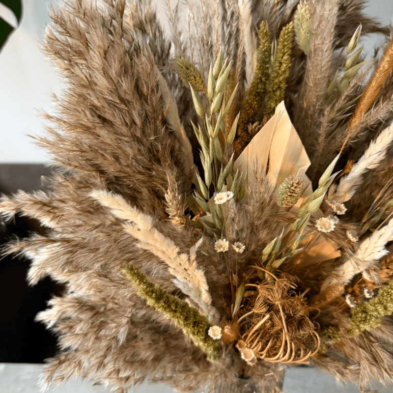 Ember Dried Flower Arrangement In Natural, Green & White - Pampas Tallo