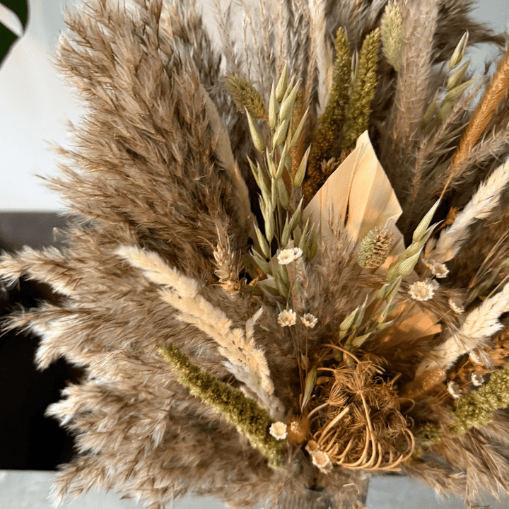 Ember Dried Flower Arrangement In Natural, Green & White - Pampas Tallo