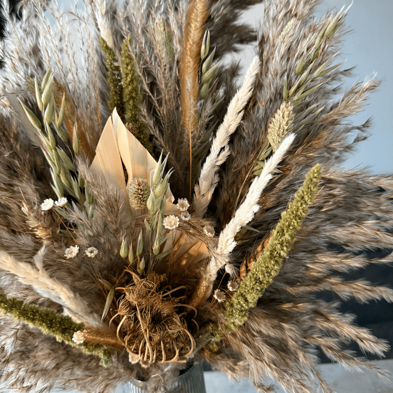 Ember Dried Flower Arrangement In Natural, Green & White - Pampas Tallo