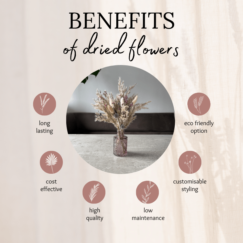 Emma Dried Flower Arrangement In Natural, Berry, Lavender & White - Pampas Tallo