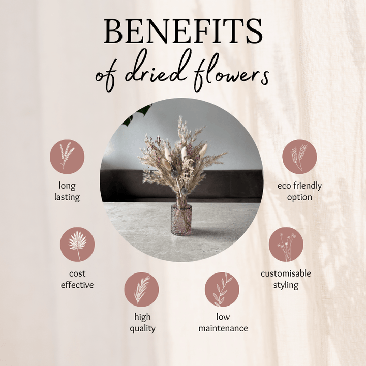 Emma Dried Flower Arrangement In Natural, Berry, Lavender & White - Pampas Tallo