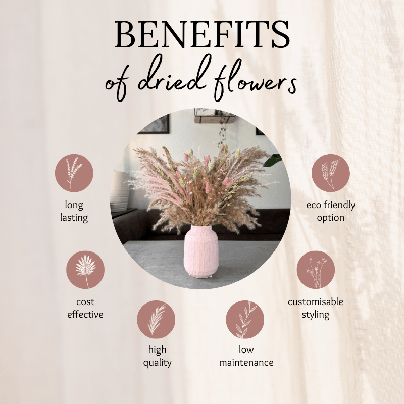 Etta Dried Flower Arrangement In Natural, Pink & Green - Pampas Tallo