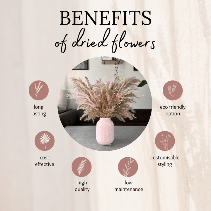 Etta Dried Flower Arrangement In Natural, Pink & Green - Pampas Tallo