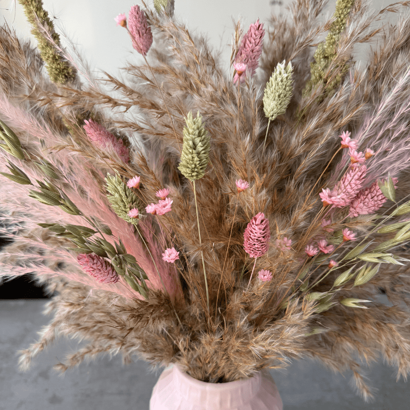 Etta Dried Flower Arrangement In Natural, Pink & Green - Pampas Tallo