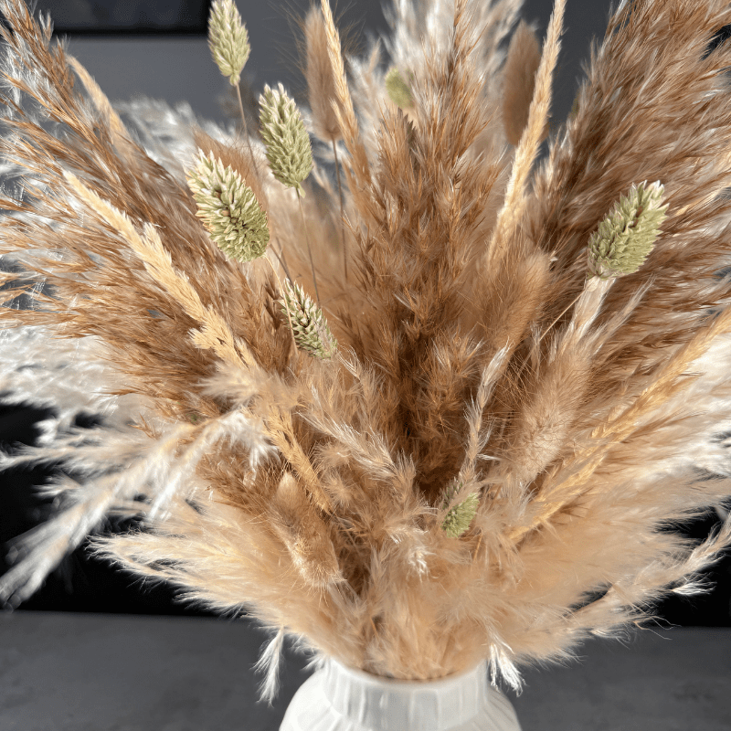 Evelyn Dried Flower Arrangement In Natural, Cream & Soft Green - Pampas Tallo