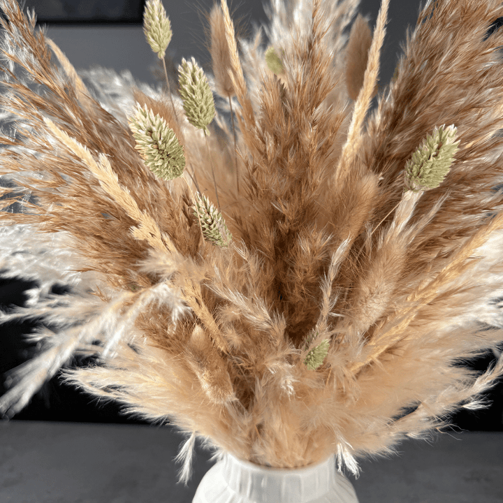 Evelyn Dried Flower Arrangement In Natural, Cream & Soft Green - Pampas Tallo