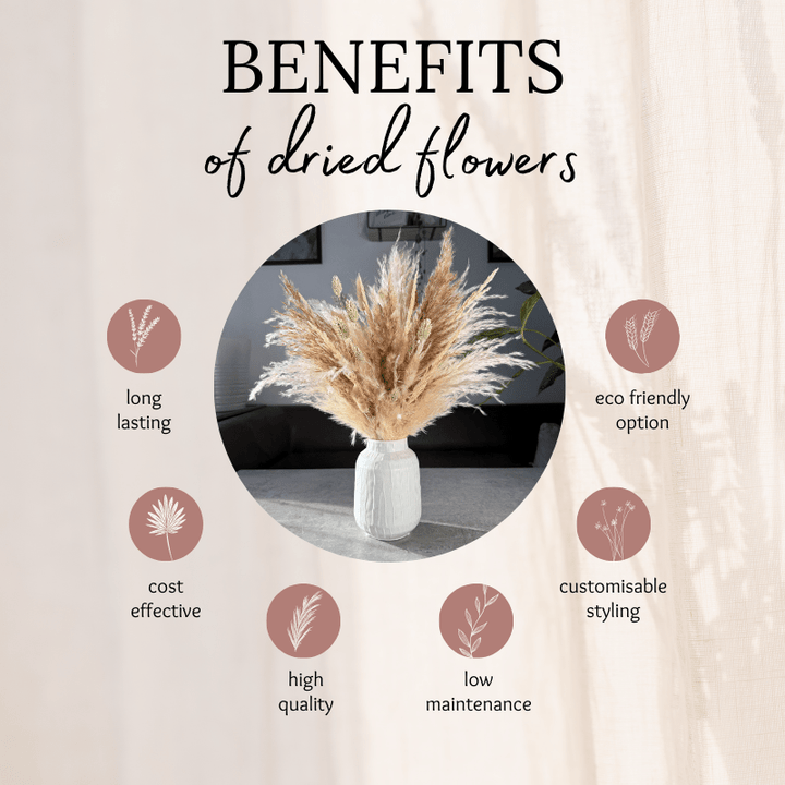 Evelyn Dried Flower Arrangement In Natural, Cream & Soft Green - Pampas Tallo